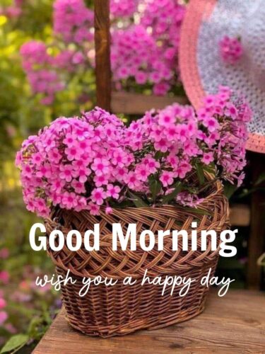 200 Good Morning Flower Images For Whatsapp FB Instagram It