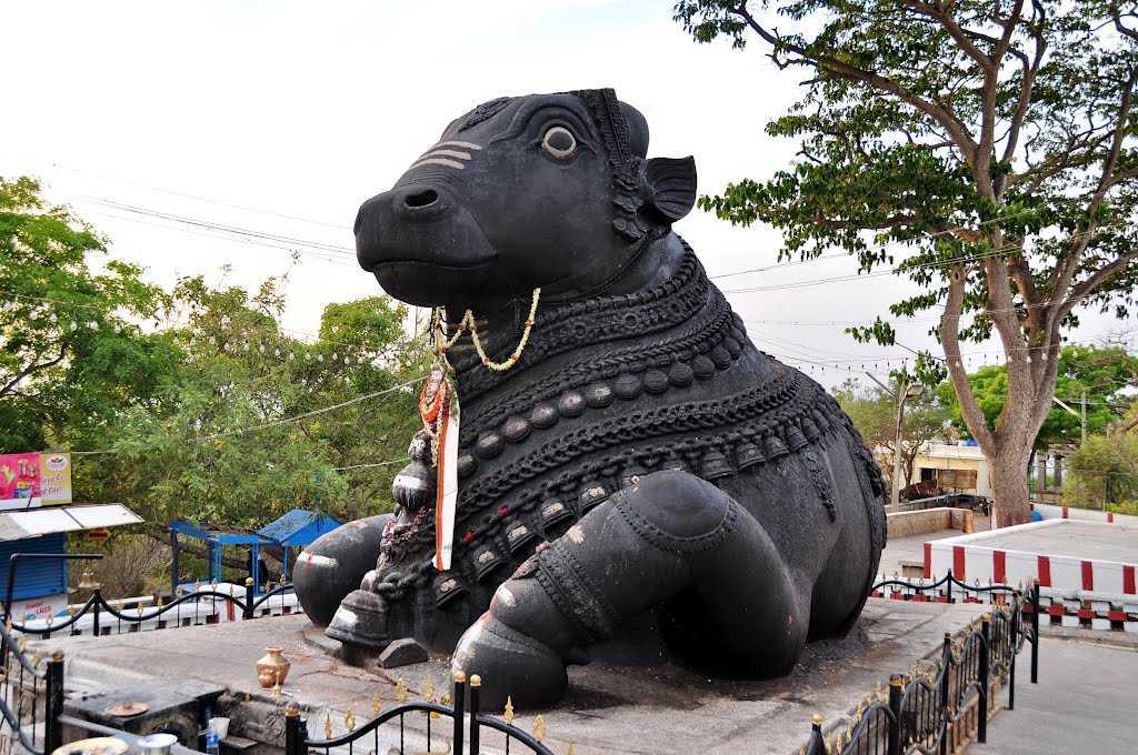 Dodda Basavana Gudi (The Bull Temple)
