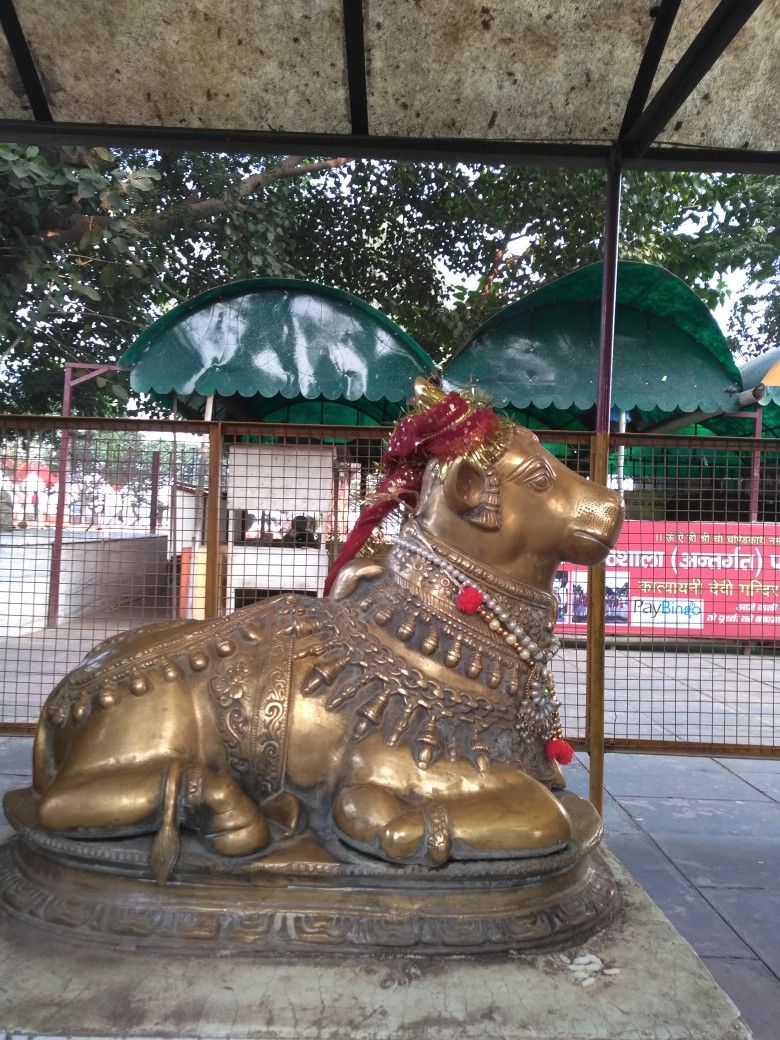 Bull Temple Basavanagudi – Surprising Facts , Timings & Directions – It ...