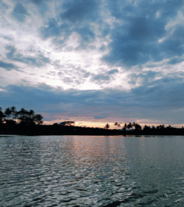 kabini